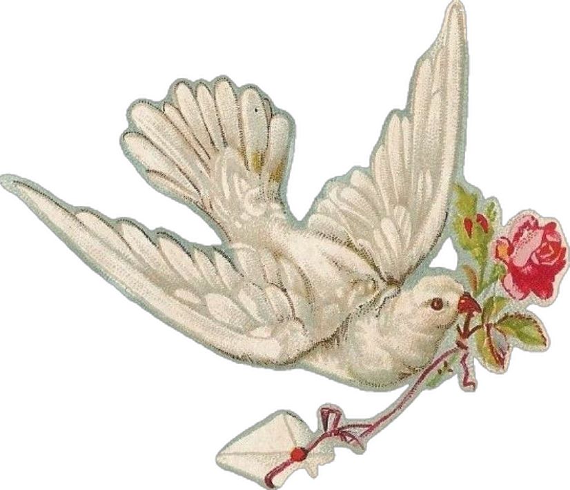 Bird with Rose