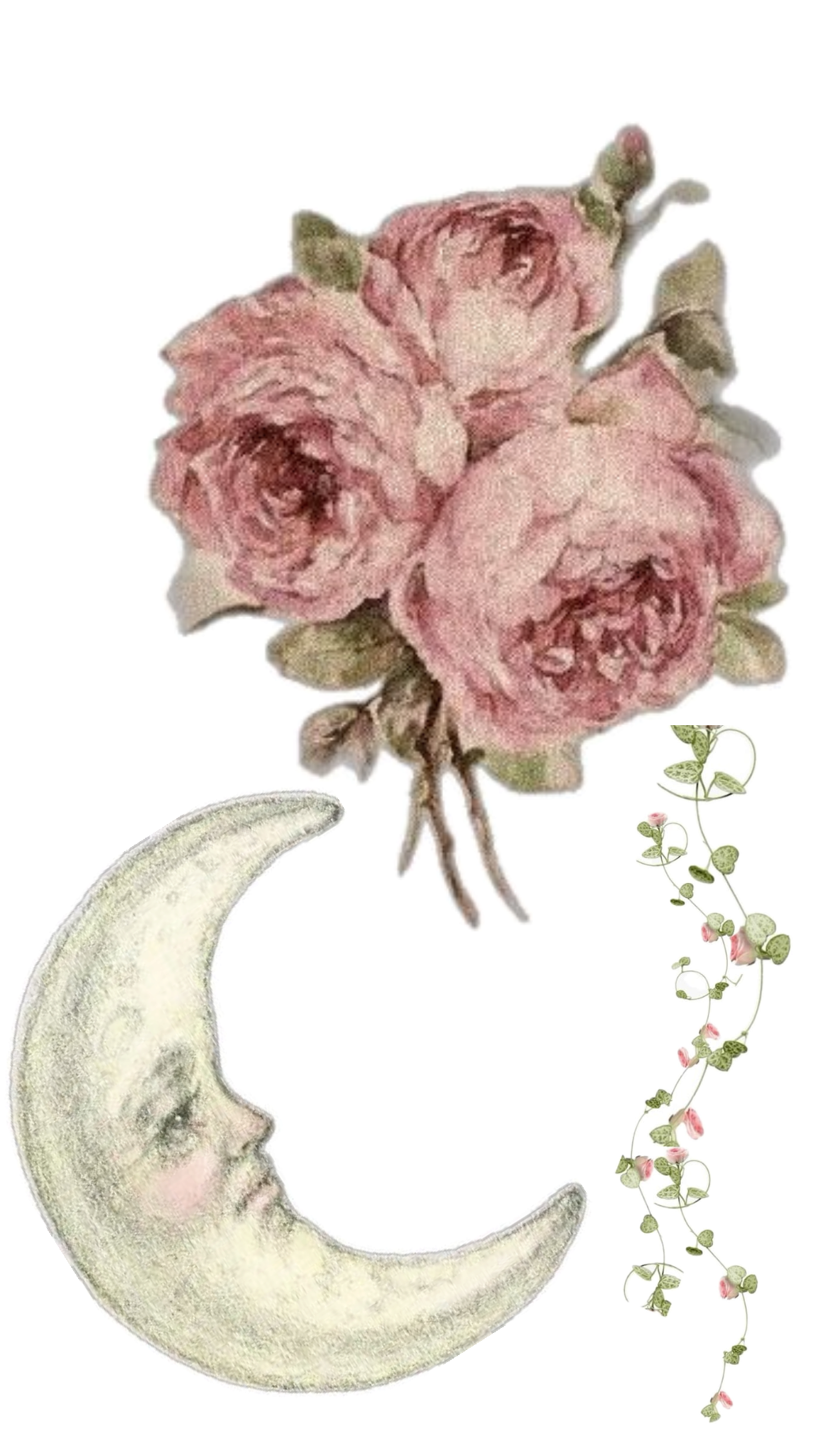 Vintage Moon
